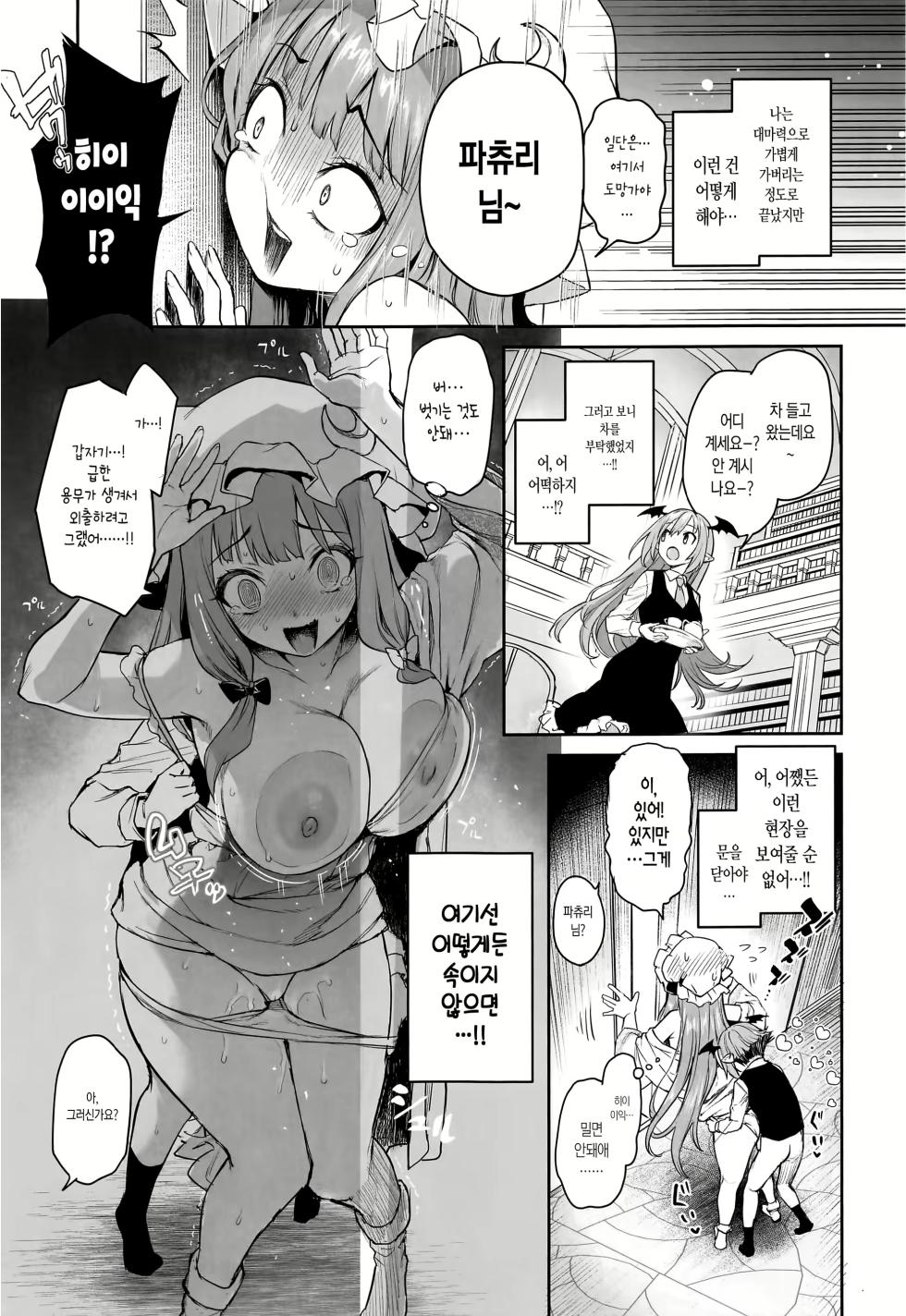 (C103) [Anmitsuyomogitei (Michiking)] Patchouli-sama to Himitsu no Heya | 파츄리 님과 비밀의 방 (Touhou Project) [Korean] [샤르카나] [Decensored] - Page 9