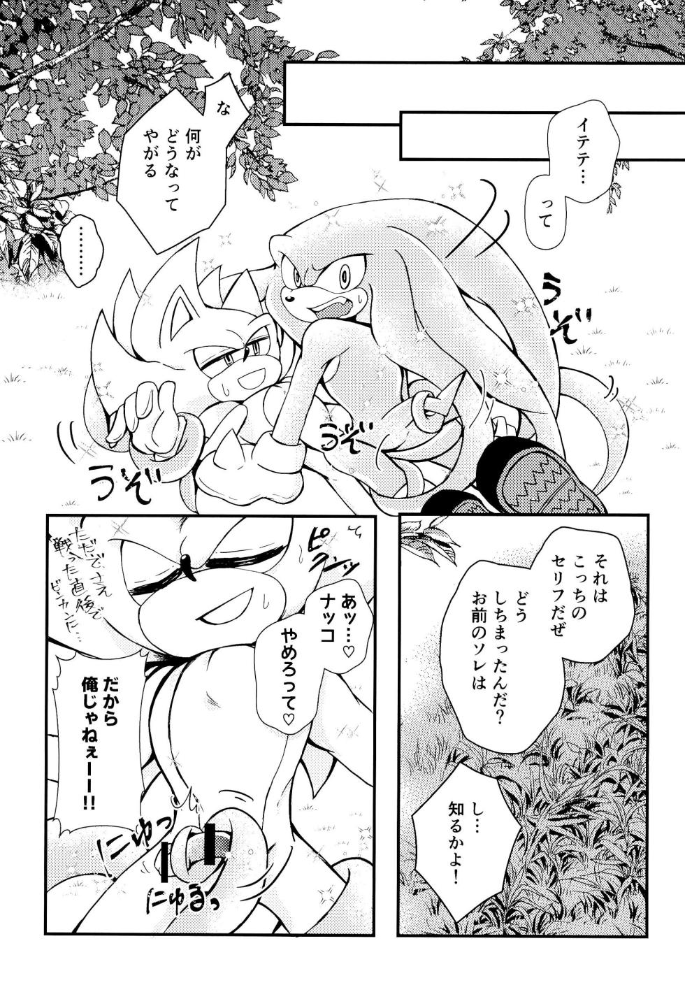 [Great Escape! (kot)] Bousou Quill Overflow! (Sonic the Hedgehog) - Page 11