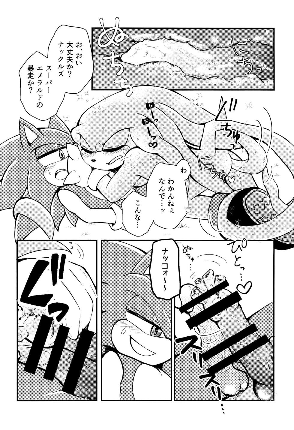 [Great Escape! (kot)] Bousou Quill Overflow! (Sonic the Hedgehog) - Page 14