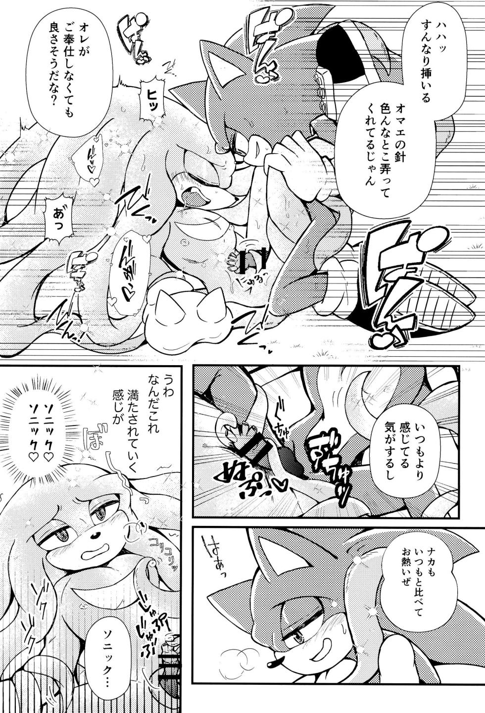 [Great Escape! (kot)] Bousou Quill Overflow! (Sonic the Hedgehog) - Page 19
