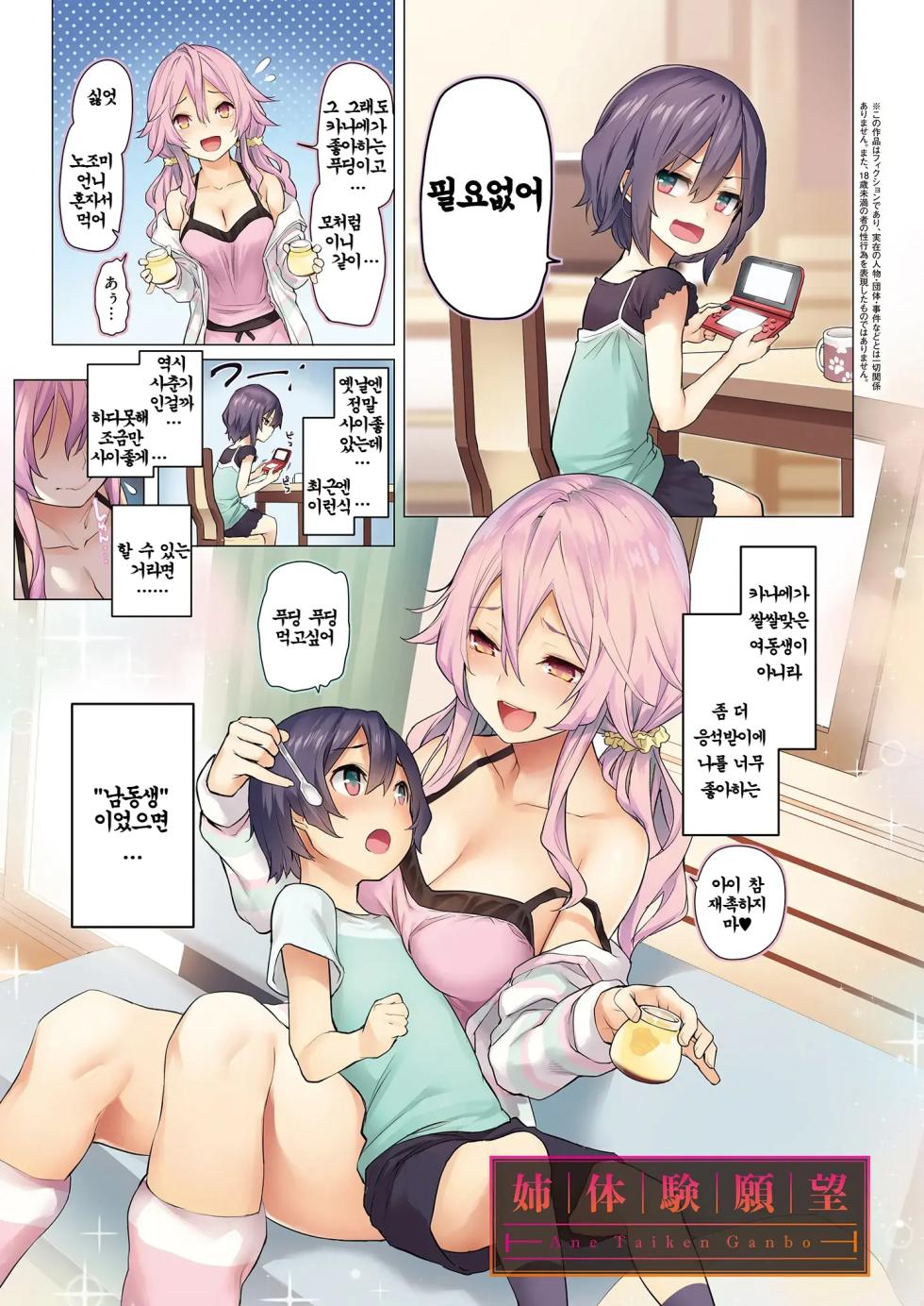 [Michiking] Ane Taiken Jogakuryou End Collection + Sister's Art Archive ｜ 누나 체험 여자기숙사 End Collection (Ane Taiken Jogakuryou ~Limited Edition~) [Korean] [Digital] [Decensored] - Page 10