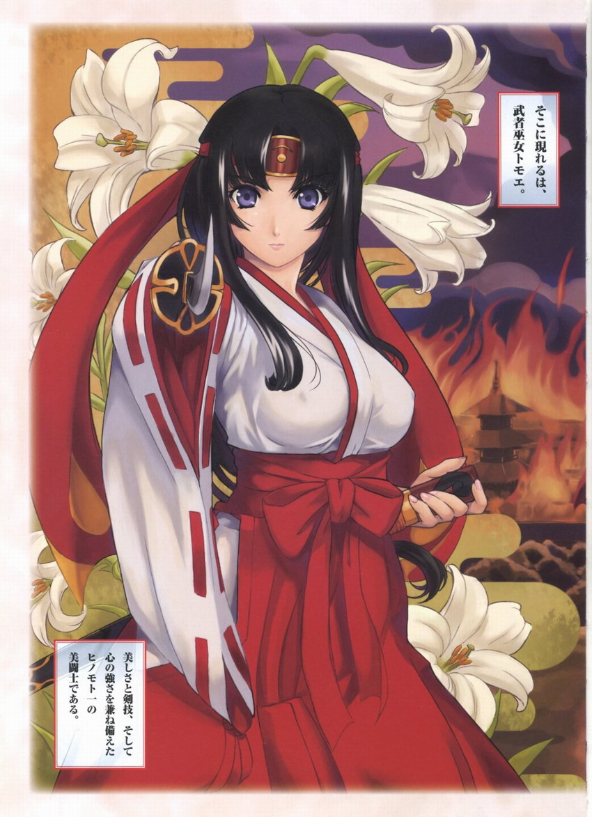Queen's Blade Tomoe Collection - Page 9