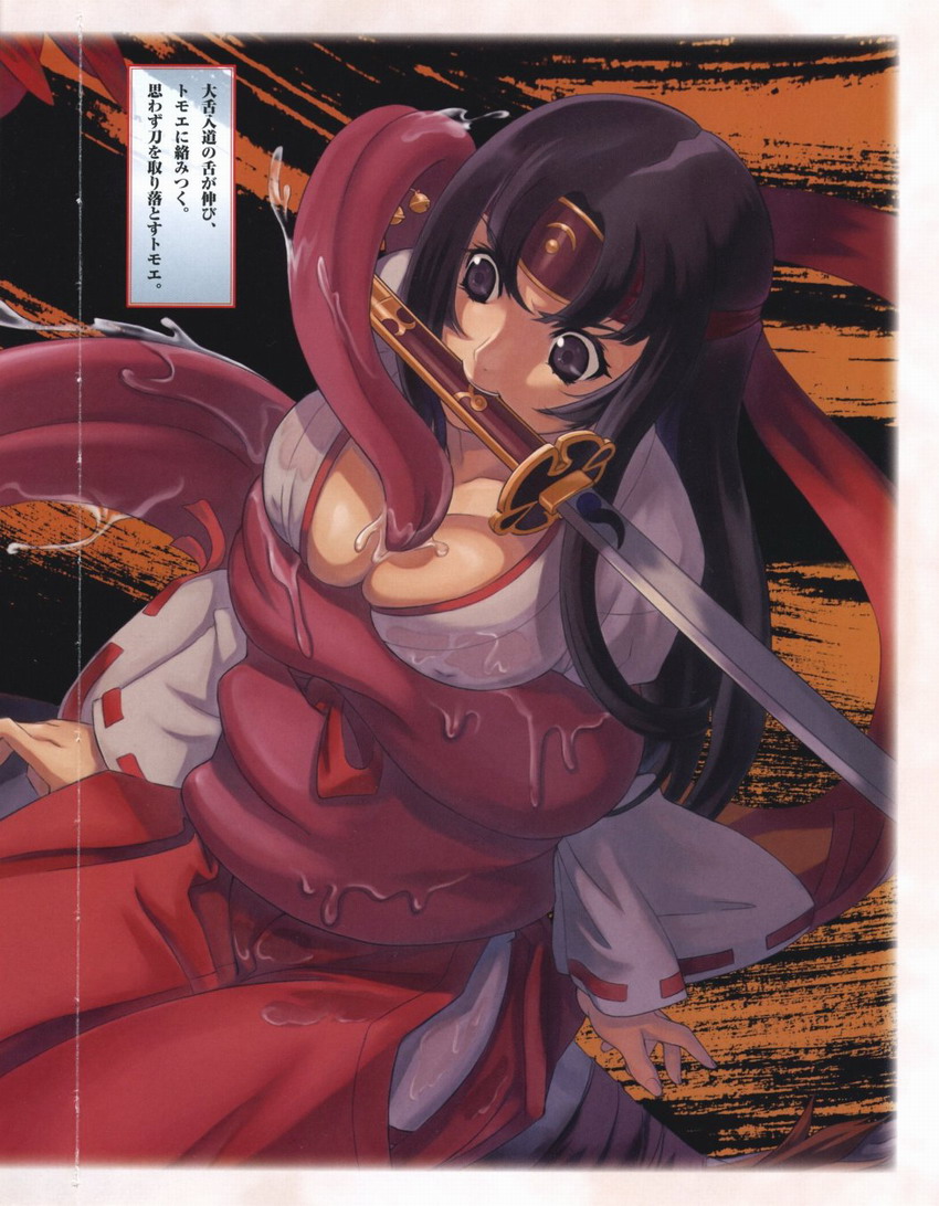 Queen's Blade Tomoe Collection - Page 10