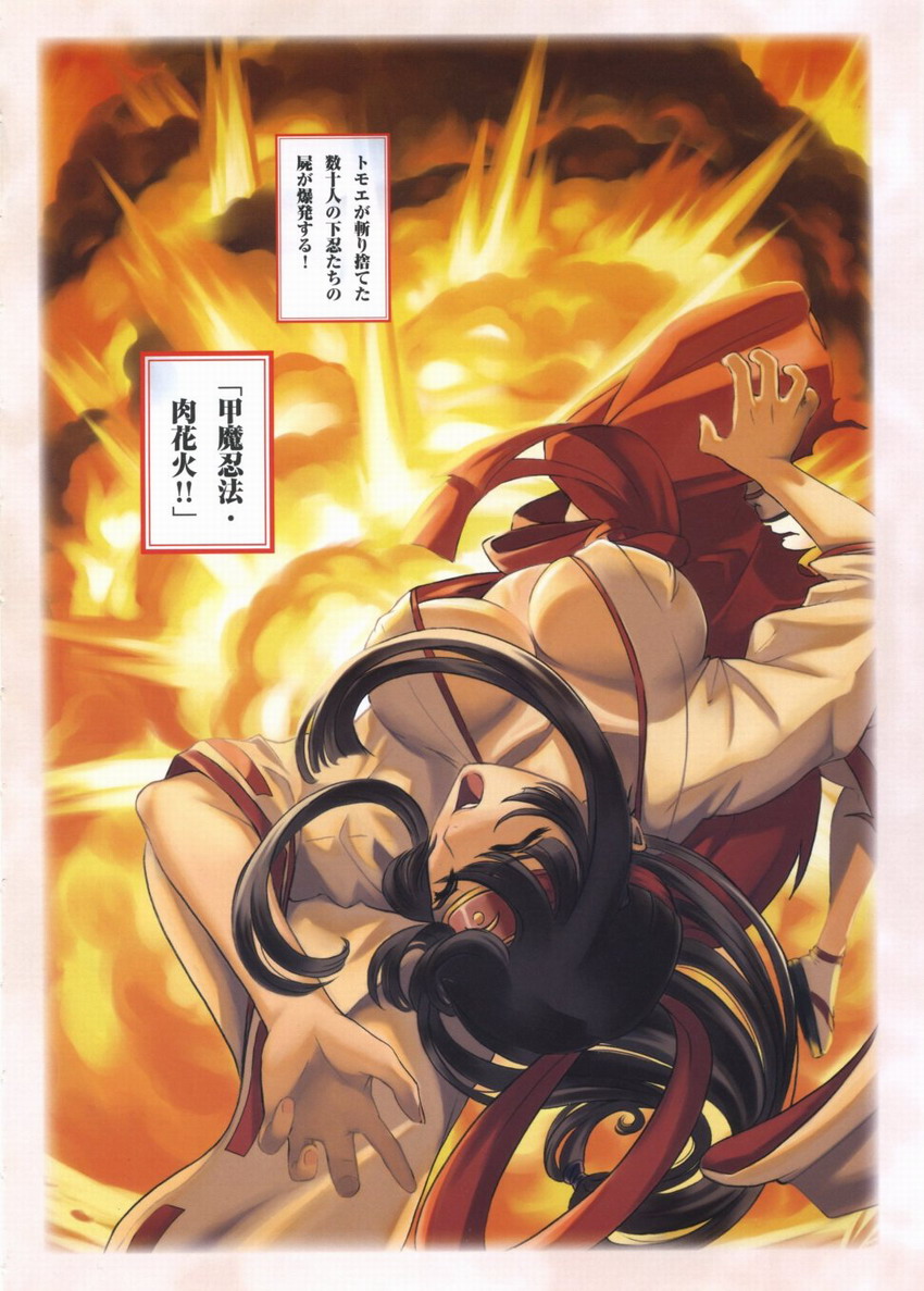 Queen's Blade Tomoe Collection - Page 11