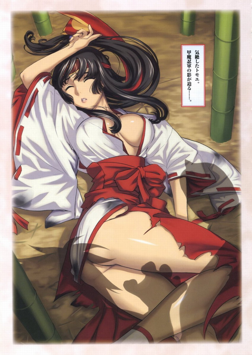 Queen's Blade Tomoe Collection - Page 12