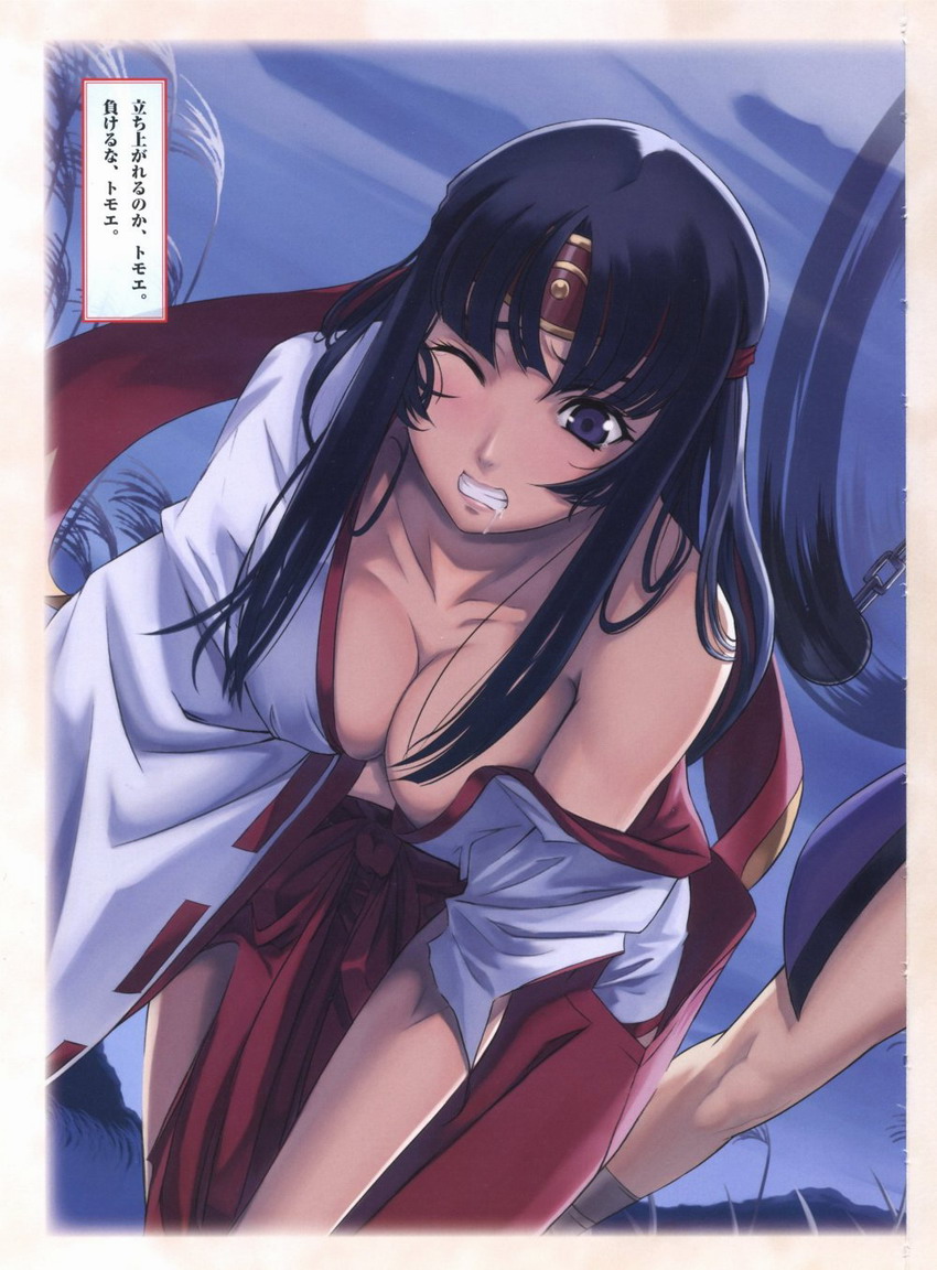 Queen's Blade Tomoe Collection - Page 14