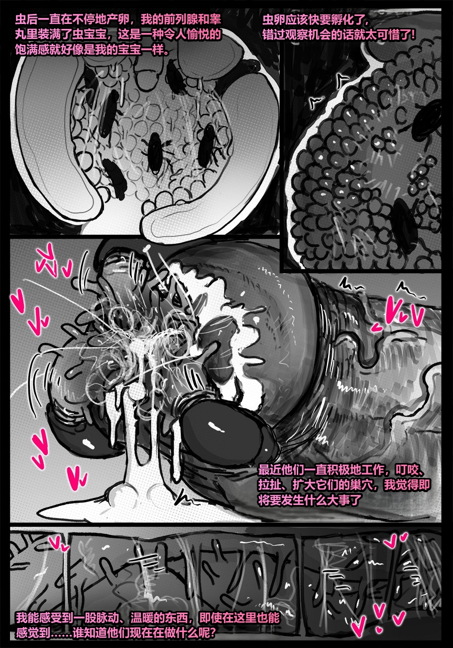 [Qusia] 持续观察！(重口虫子慎入) Observation Continues... - Page 12