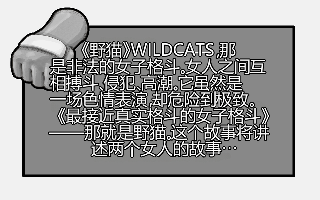 [pink-noise (Mizuiro Megane)] WILDCATS ~ Futanari Chika Battle[个人机翻] - Page 4