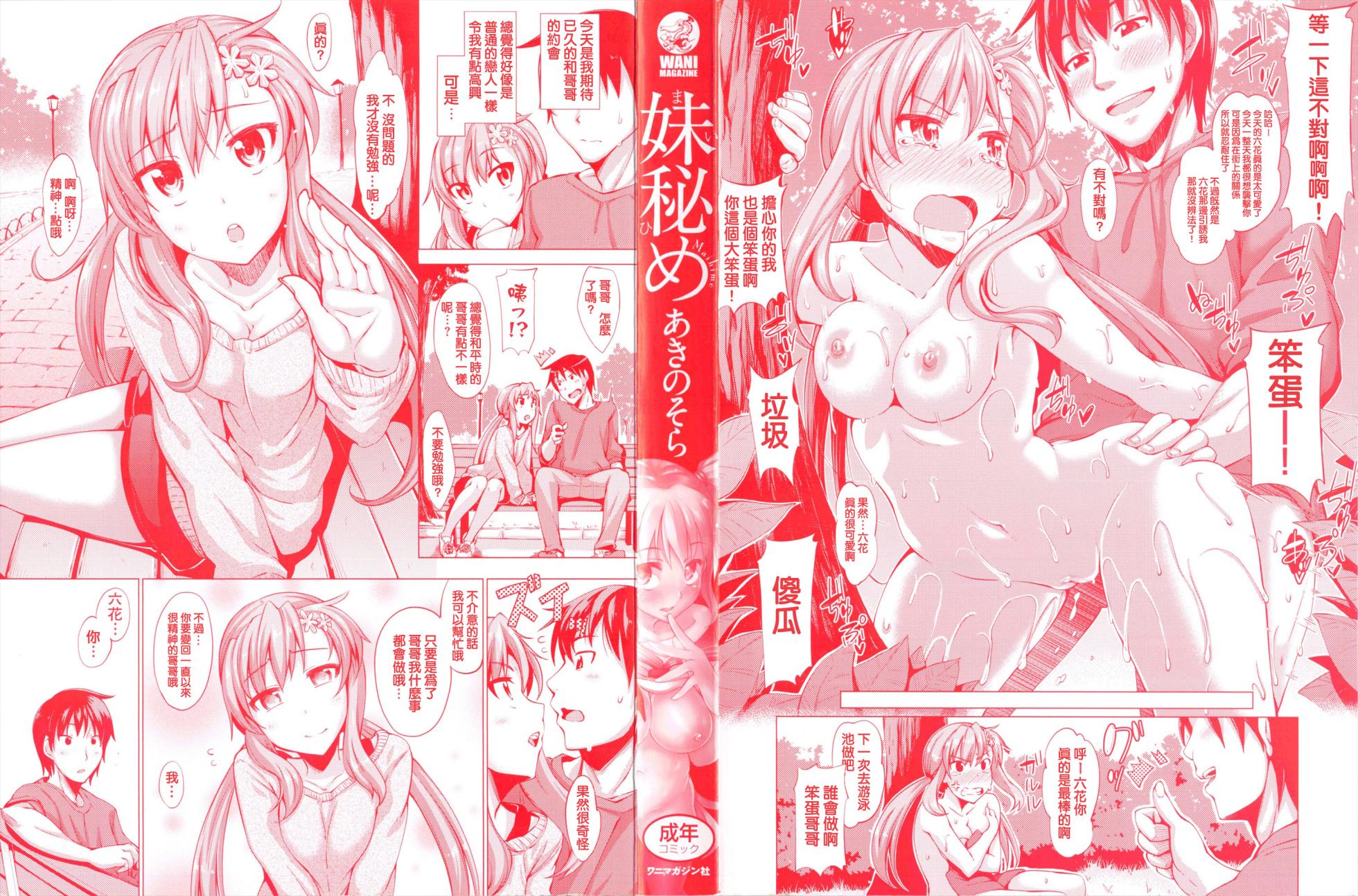 [純愛K個人漢化][あきのそら] 妹秘め + とらのあな特典付き[中国翻訳] - Page 4