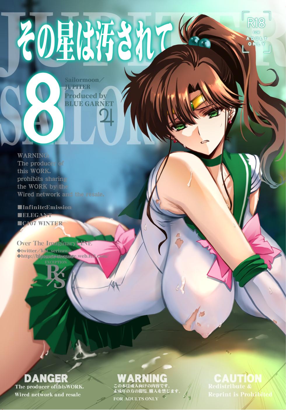 [BLUE GARNET (Serizawa Katsumi)] Sono Hoshi wa Yogosarete 8 (Bishoujo Senshi Sailor Moon) [Digital] - Page 1