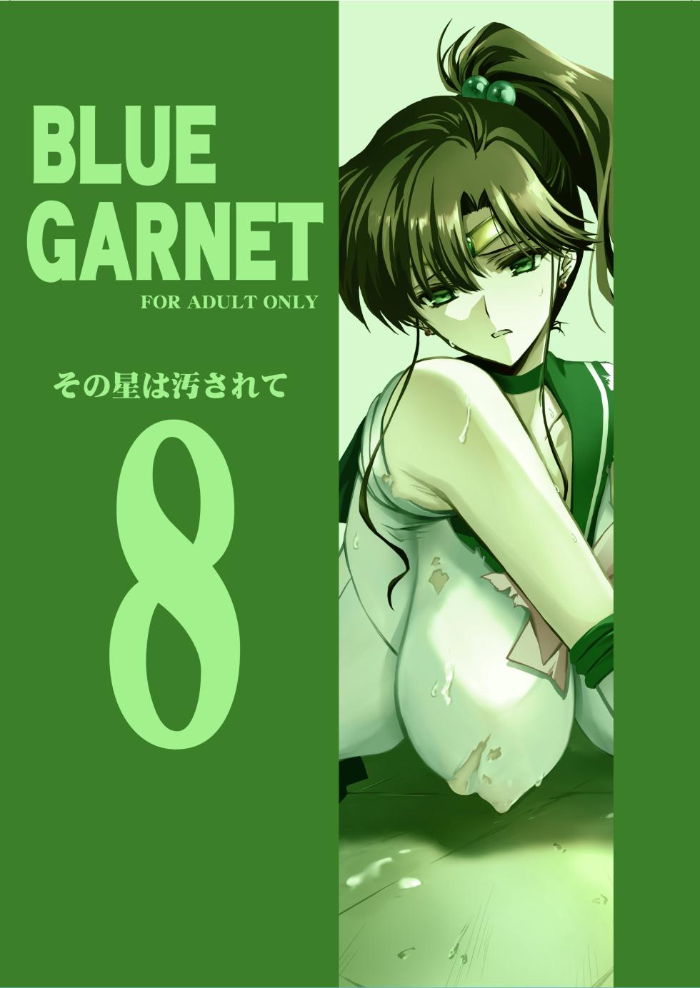 [BLUE GARNET (Serizawa Katsumi)] Sono Hoshi wa Yogosarete 8 (Bishoujo Senshi Sailor Moon) [Digital] - Page 35