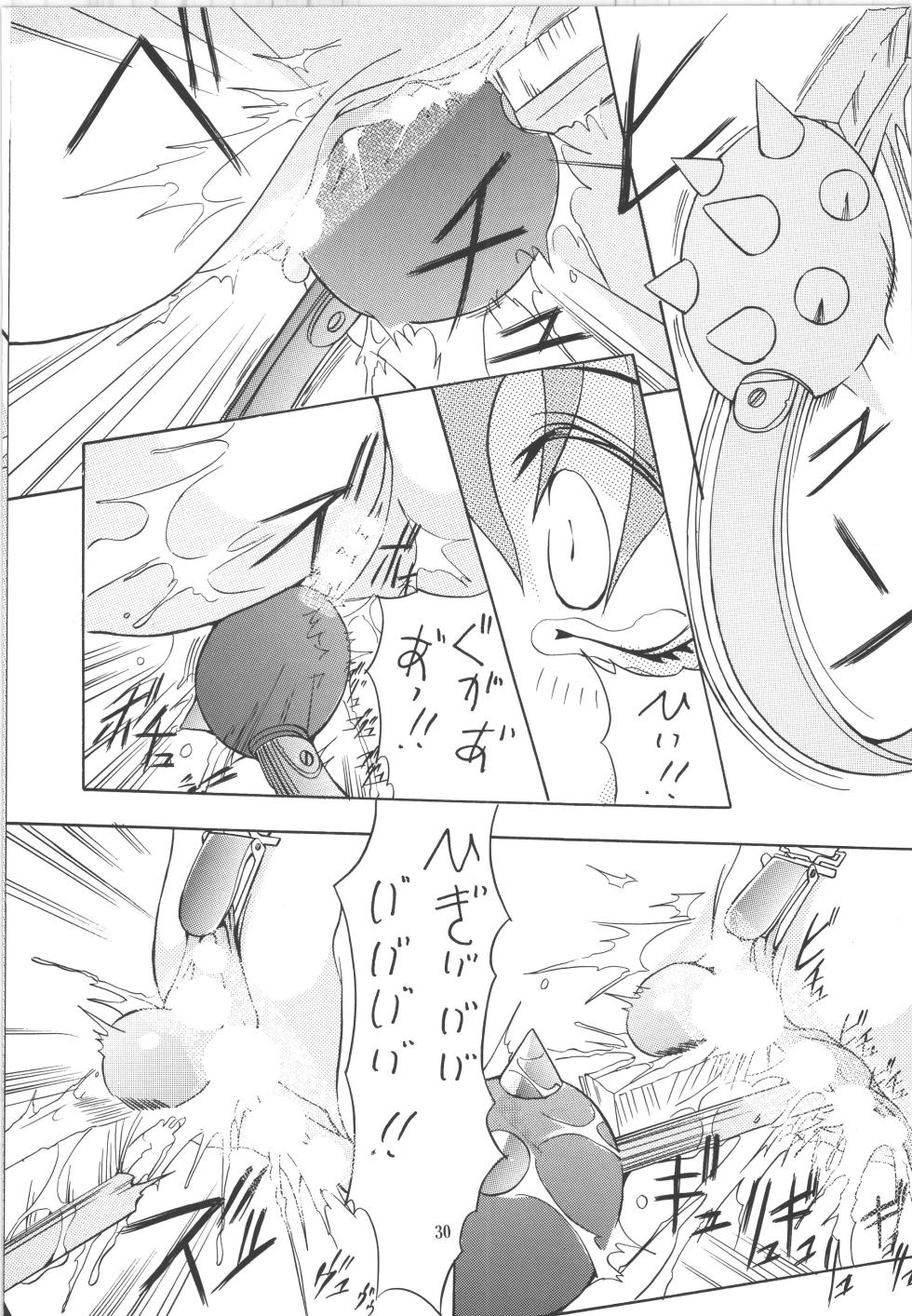 (C51) [アルゴラグニア (巫代凪遠)] 邪道王 (ファイターズインパクト) - Page 30