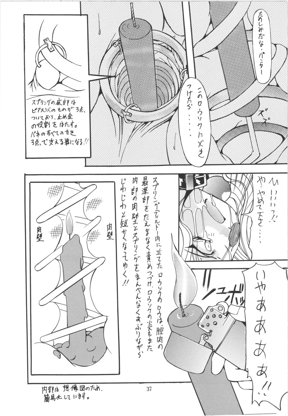 (C51) [アルゴラグニア (巫代凪遠)] 邪道王 (ファイターズインパクト) - Page 37