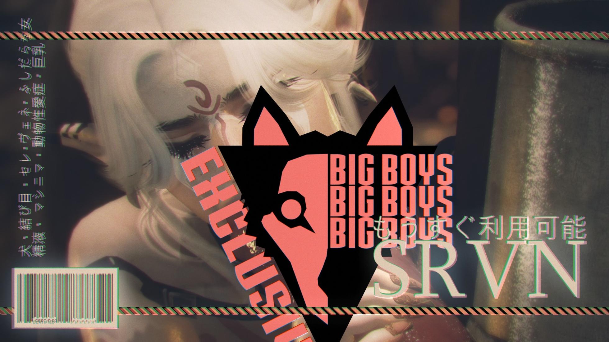 SRVN Picture Gallery - Page 33