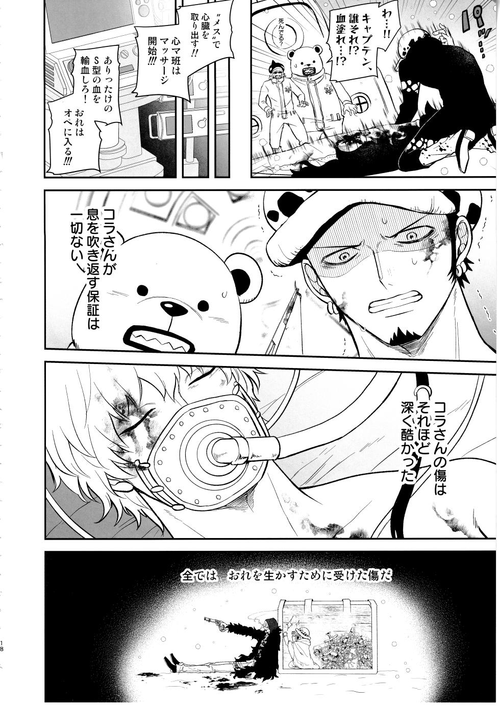 [Eternal snow (Suno)] Wansumoa・agein (ONE PIECE) - Page 17
