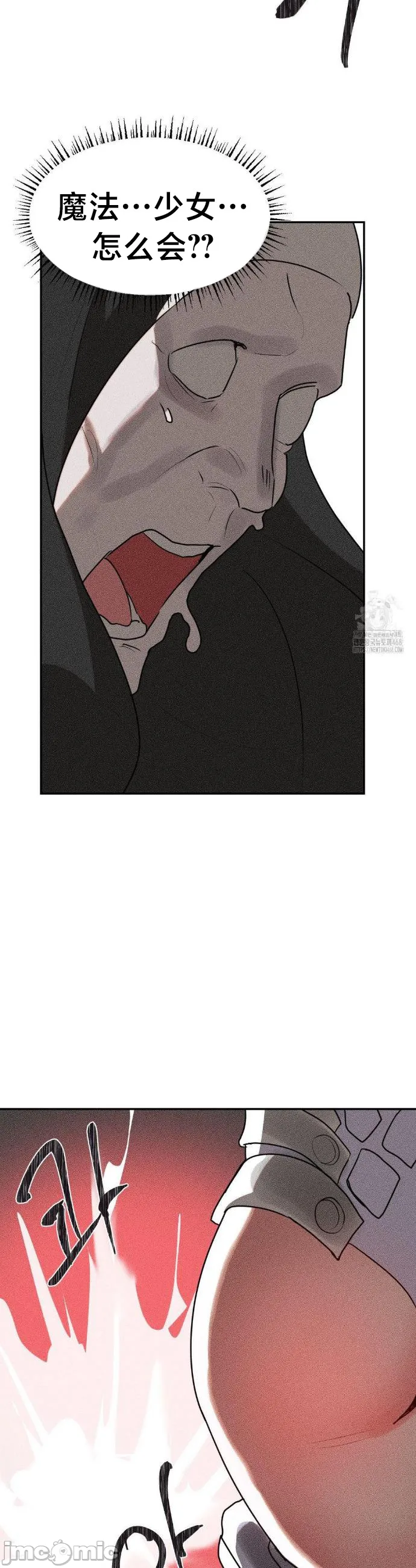 [sejul] 魔法少女服务 | Magic-Girl Service 1-52 [End] [Chinese] - Page 980