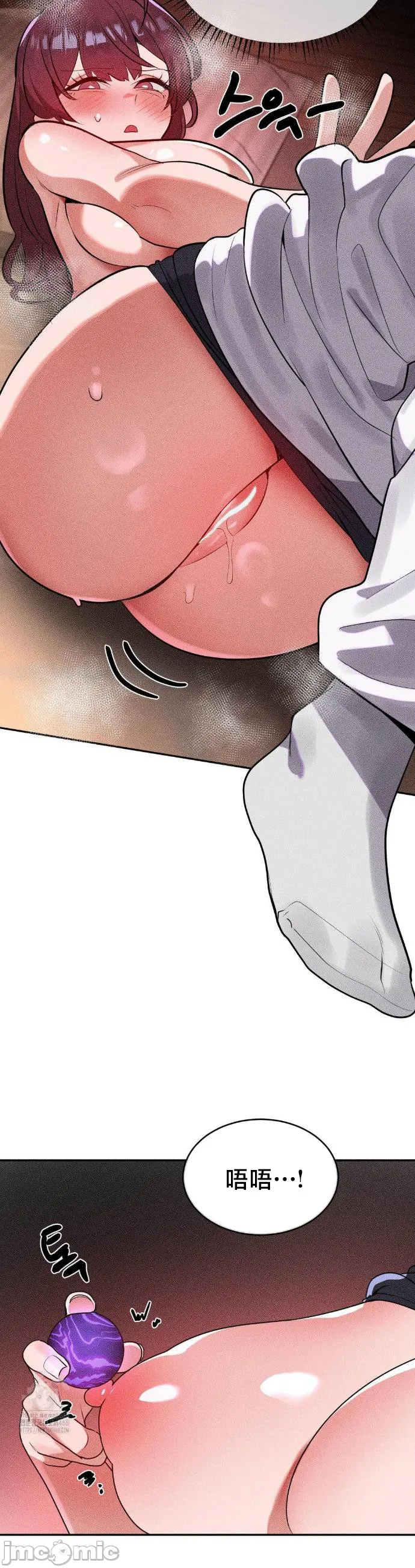 [sejul] 魔法少女服务 | Magic-Girl Service 1-52 [End] [Chinese] - Page 1311