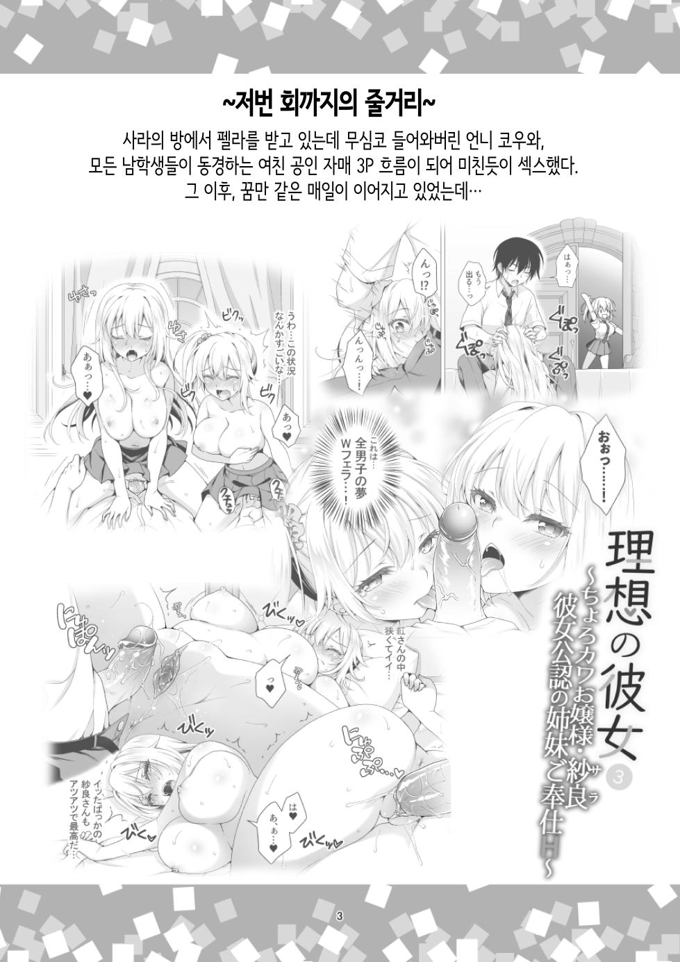 [Marimoya (Mori Marimo)] Risou no Kanojo 4 ~Subete o Uketomete Kureru Chorokawa M Ojou-sama Sara Toroama Nakadashi Onedari~ [Korean] [Decensored] - Page 3