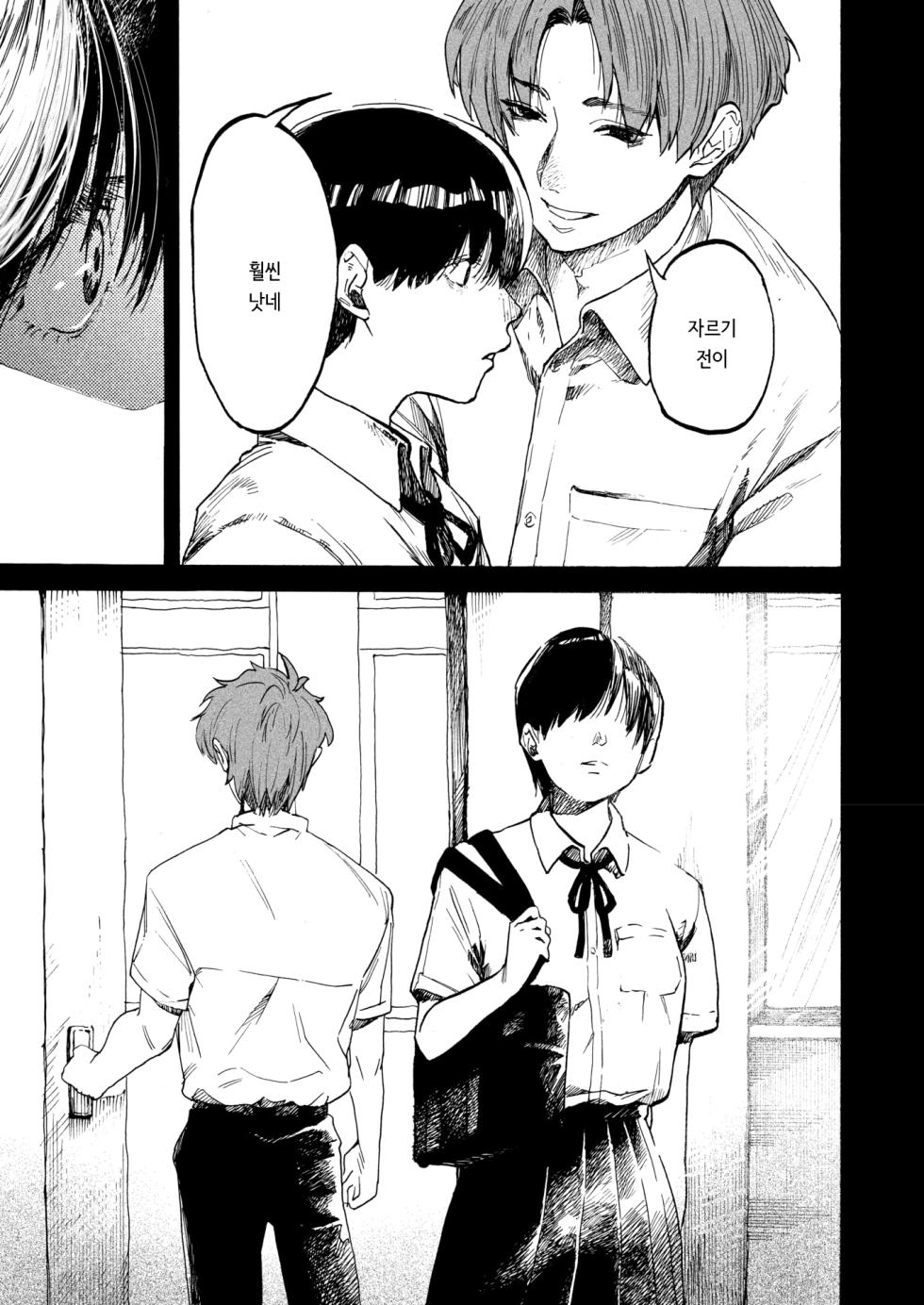 [Owari Ningen] Anata dake Mitsumeteru | 당신만을 바라보고 있어 (COMIC HOTMILK 2025-09) [Korean] [Digital] - Page 9
