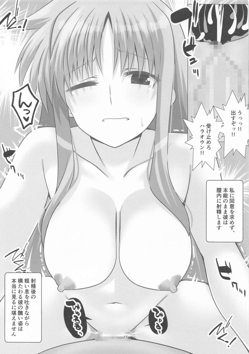 [Aquarius Gate (Engo)] Feito-san reizoku hōshi-chū (Mahou Shoujo Lyrical Nanoha) - Page 15