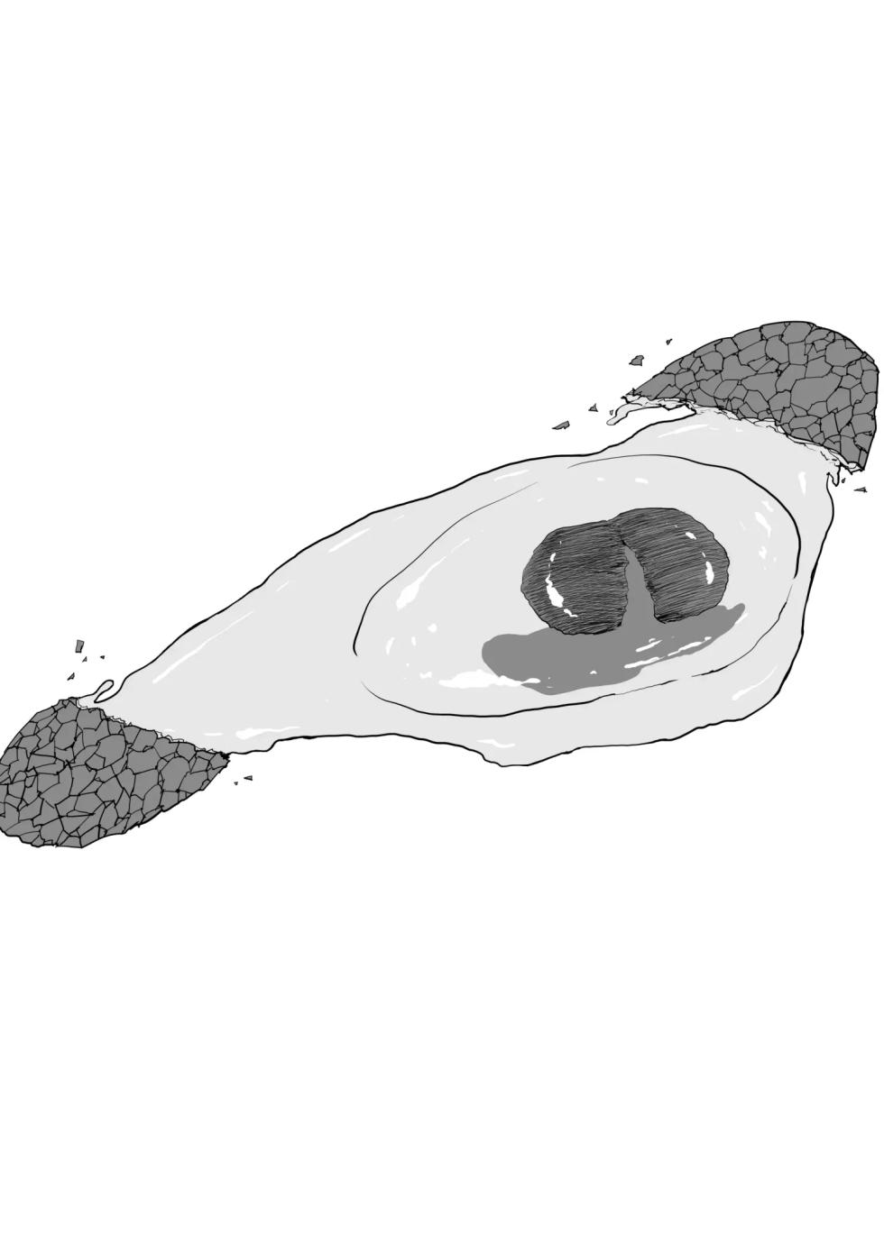 [Shioji] Dekkai Shiri no Hitozuma to Asa made Yarimakutta Hanashi [Korean] - Page 4