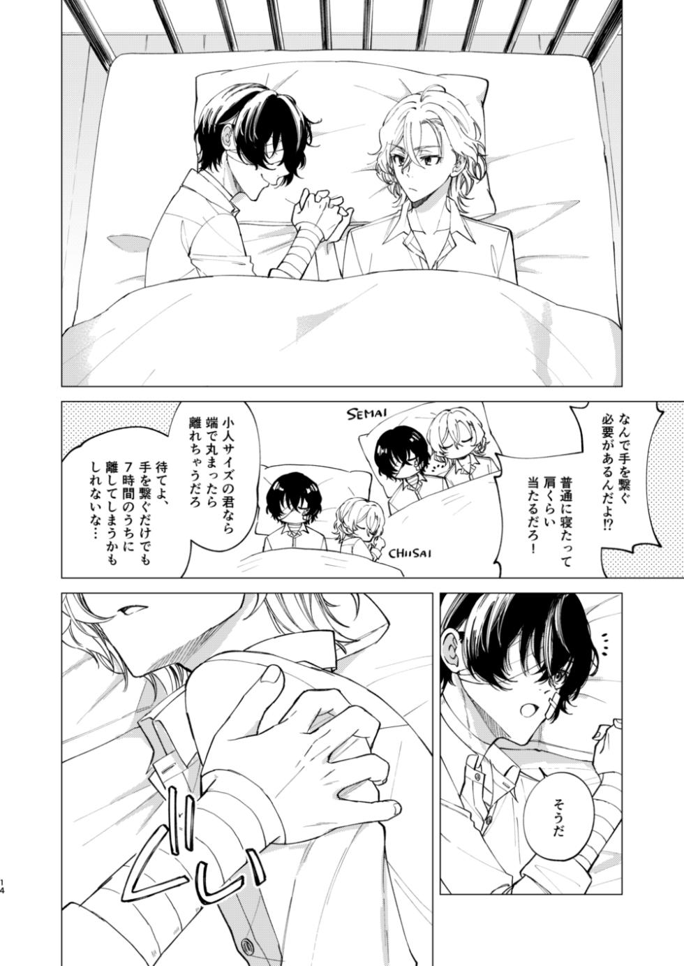[Hyakusen Renma (Meimei)] アイリス (Bungou Stray Dogs) [Digital] - Page 13