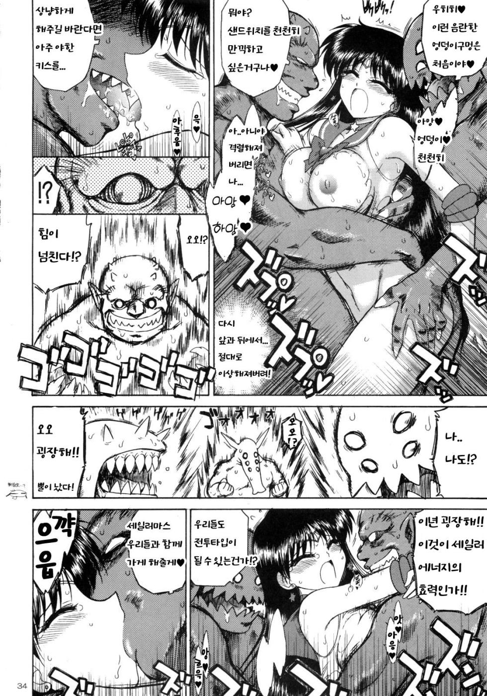 (C75) [BLACK DOG (Kuroinu Juu)] SCARY MONSTERS (Bishoujo Senshi Sailor Moon) (korean) - Page 34