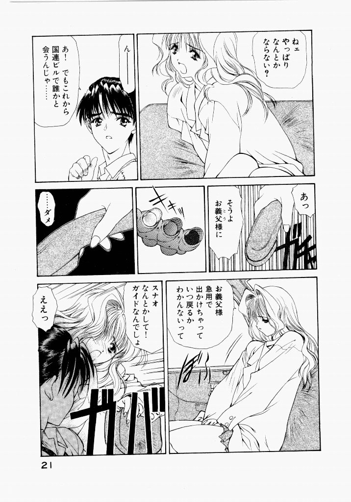 [UROBOROS (Utatane Hiroyuki)] Seraphic Feather 03 - Page 25