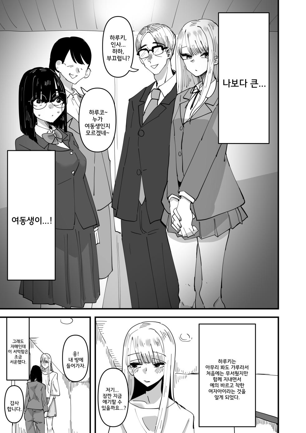 [Aweida] Haha ga Saikon Shite Imouto ga Dekita kedo Iroiro Atte Koibito ni Natta Hanashi | 엄마가 재혼해서 여동생이 생겼는데 여러가지로 연인이 된 이야기 [Korean] - Page 4