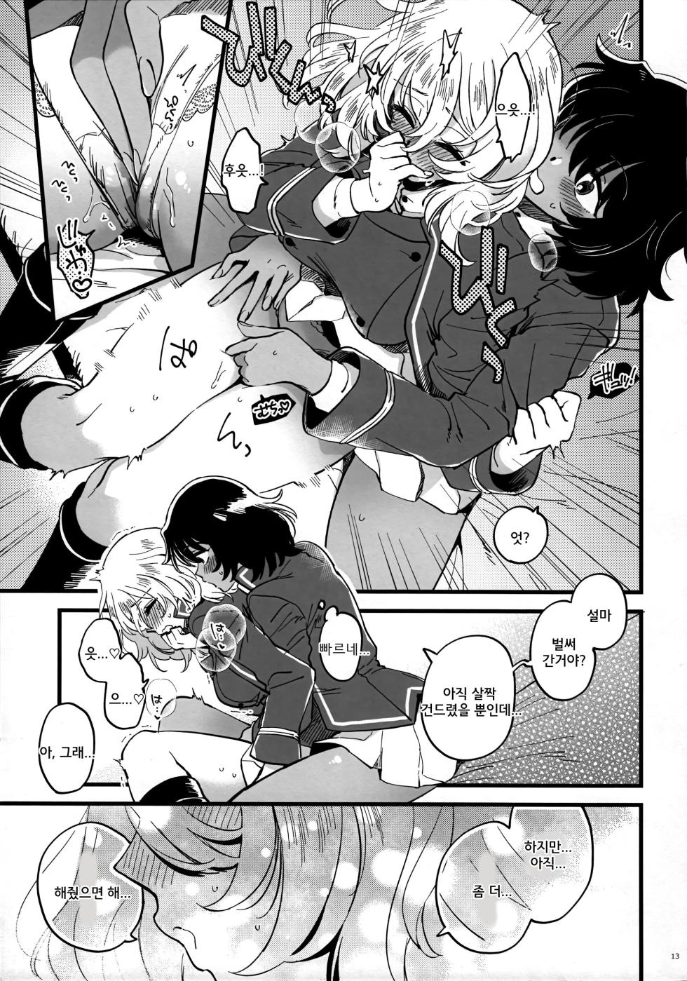 [Sonotaozey (Yukataro)] Tojikomerarete Kusuri Nonde Sorekara no Aida - Trapped in the Room, Taking the Potion, and Then | 방에 갇혀서 약을 먹고 그러고 난 다음 그 사이 (Girls und Panzer) [Korean] - Page 12