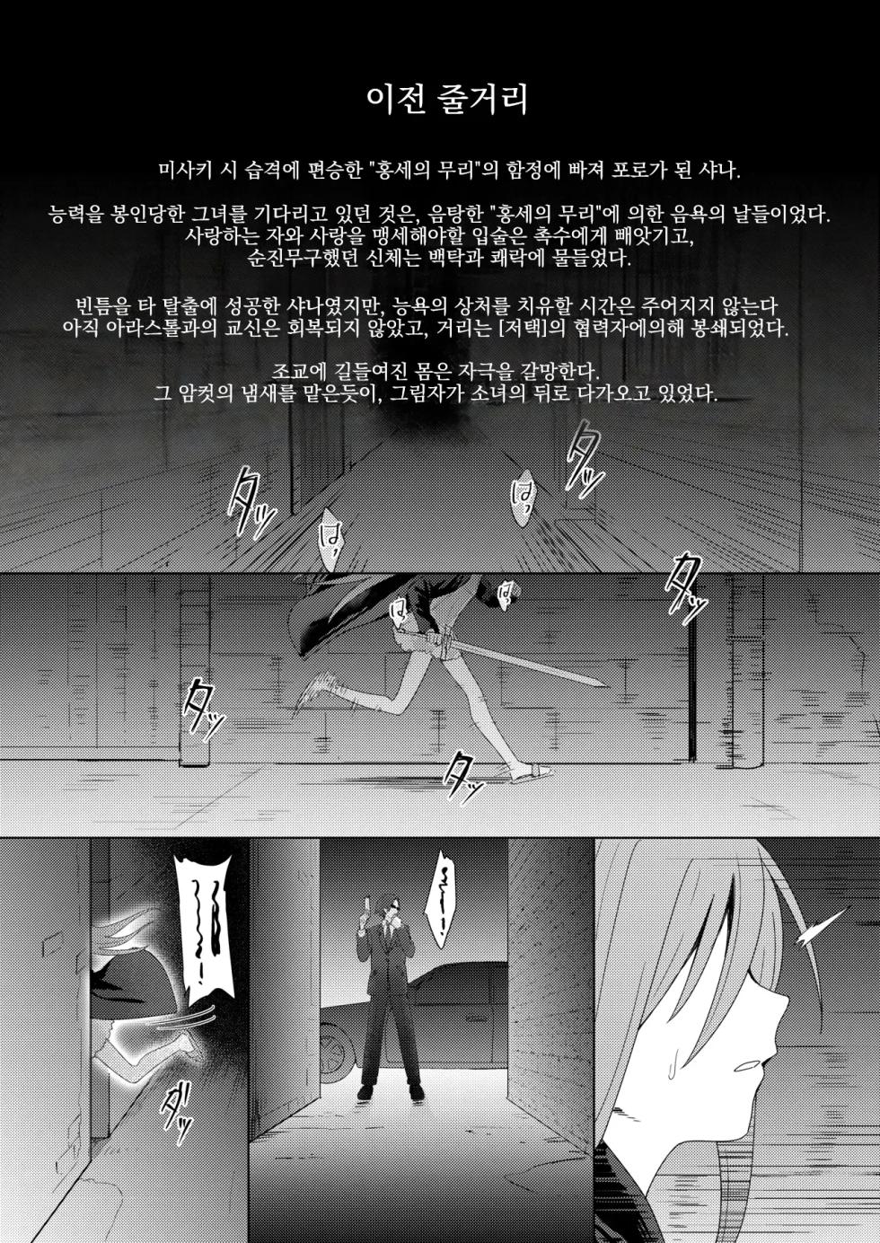 [Sojou no Kuuran (Ariuo)] Jokugan no Kobite (Shakugan no Shana) [Korean] [Digital] - Page 3