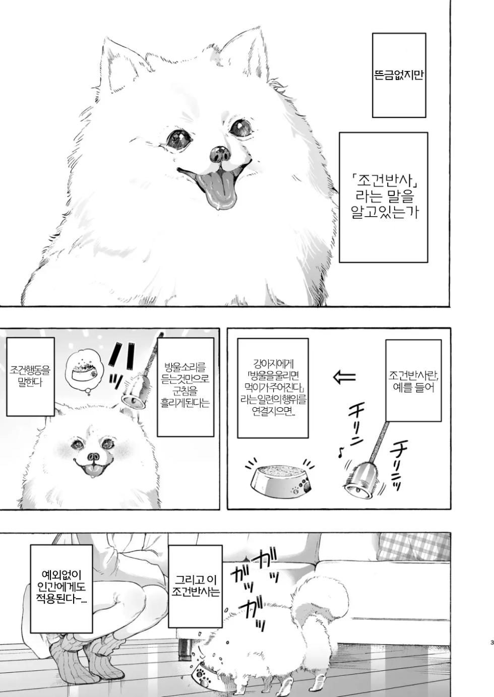 [Noyama] Mimi de Koishita Douryou ~OnaSuppo Onsei Otaku Onna ga Douryou no Koe ni Hannou Shite Ikimakuri~ | 귀로 사랑한 동료 ~자위도우미 음성 오타쿠가 동료의 목소리에 반응해서 절정파티~ [Korean] - Page 3