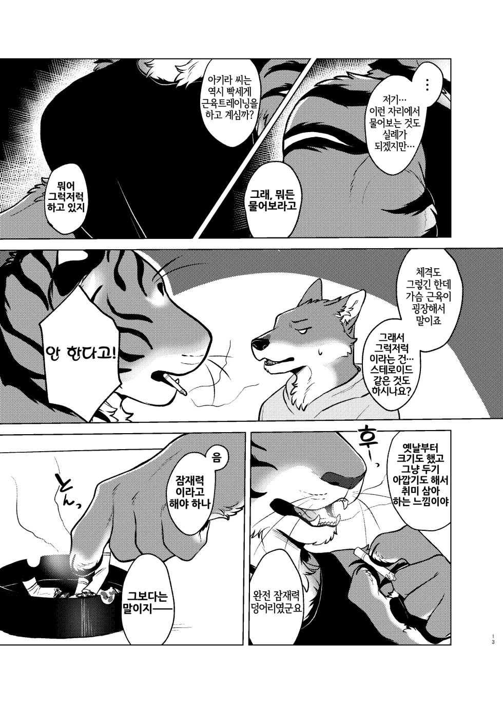 [Neko no Shuukaijo (Nekomata)] Rinjin ga Mesu deshita [Korean] [Digital] [LWND] - Page 12