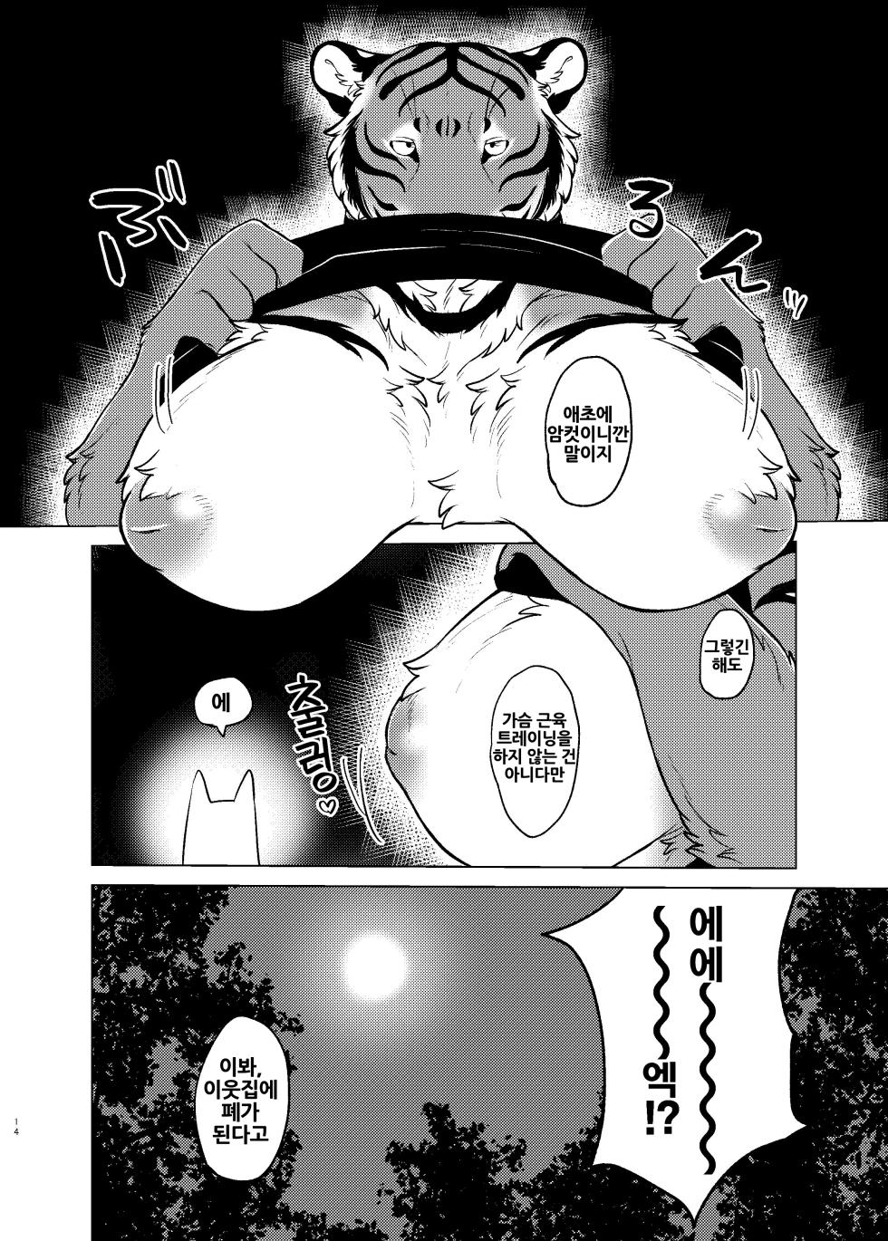 [Neko no Shuukaijo (Nekomata)] Rinjin ga Mesu deshita [Korean] [Digital] [LWND] - Page 13