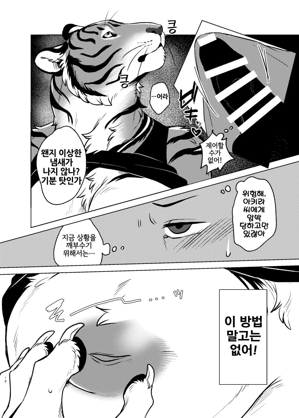 [Neko no Shuukaijo (Nekomata)] Rinjin ga Mesu deshita [Korean] [Digital] [LWND] - Page 17