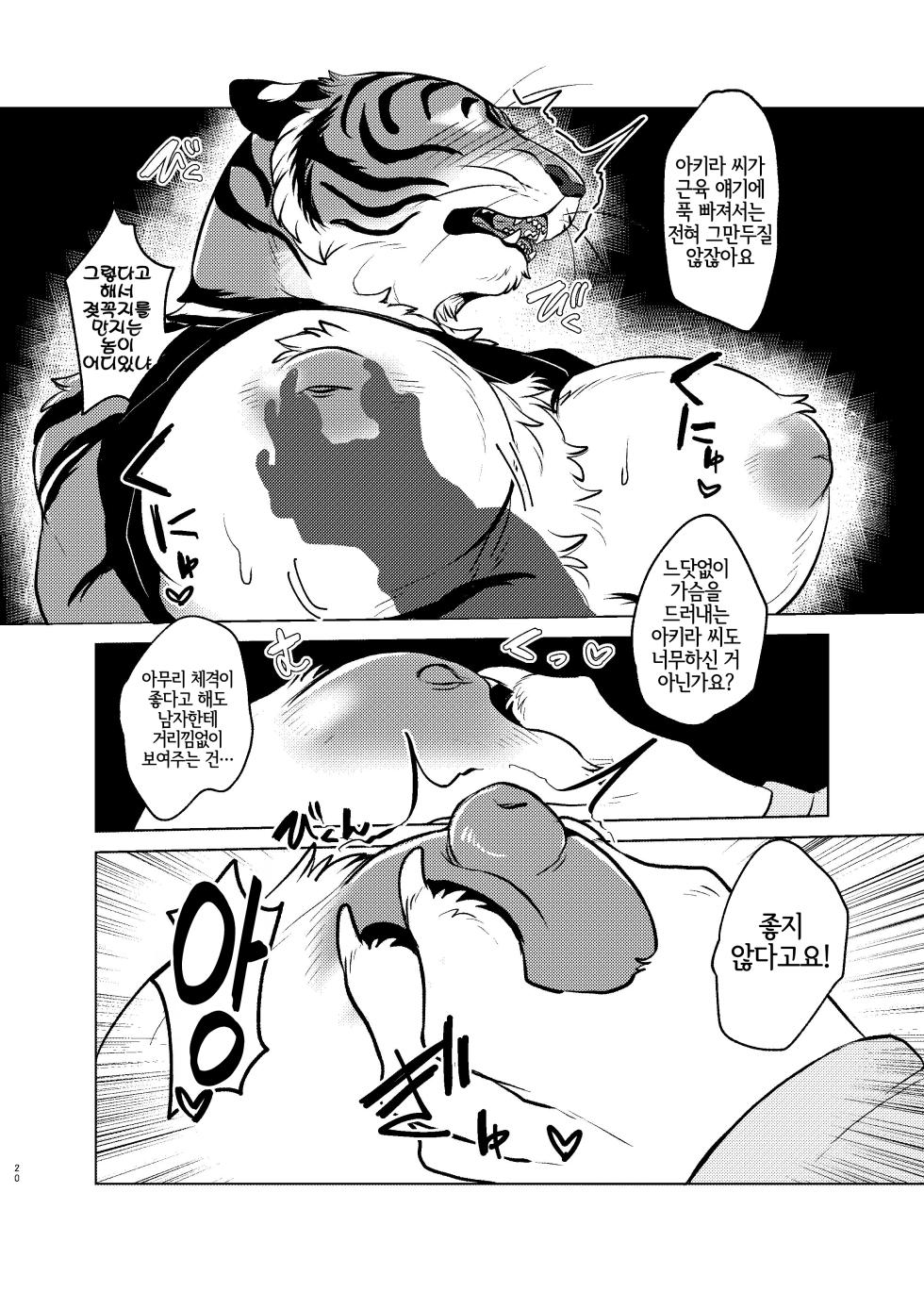 [Neko no Shuukaijo (Nekomata)] Rinjin ga Mesu deshita [Korean] [Digital] [LWND] - Page 19