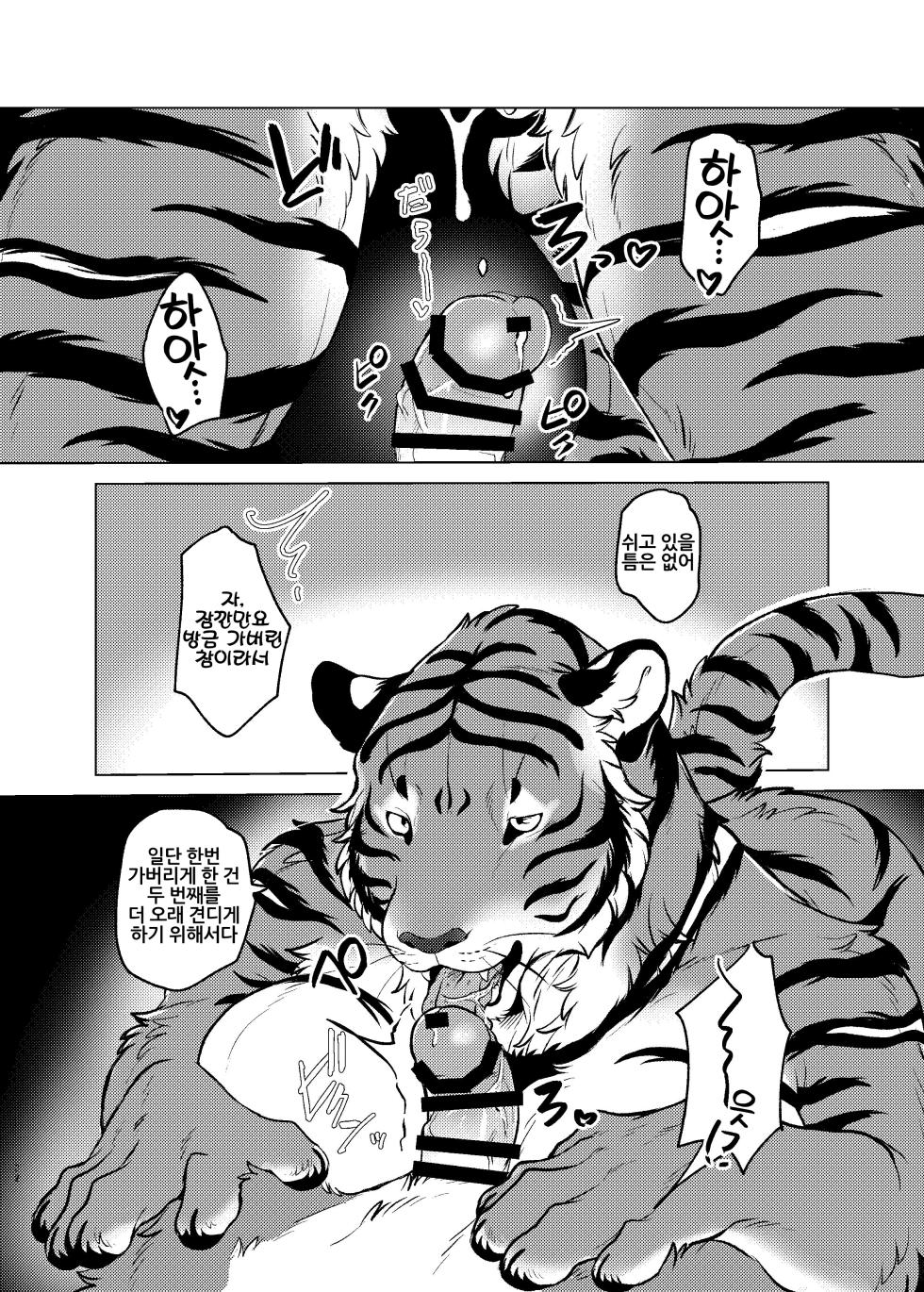 [Neko no Shuukaijo (Nekomata)] Rinjin ga Mesu deshita [Korean] [Digital] [LWND] - Page 31