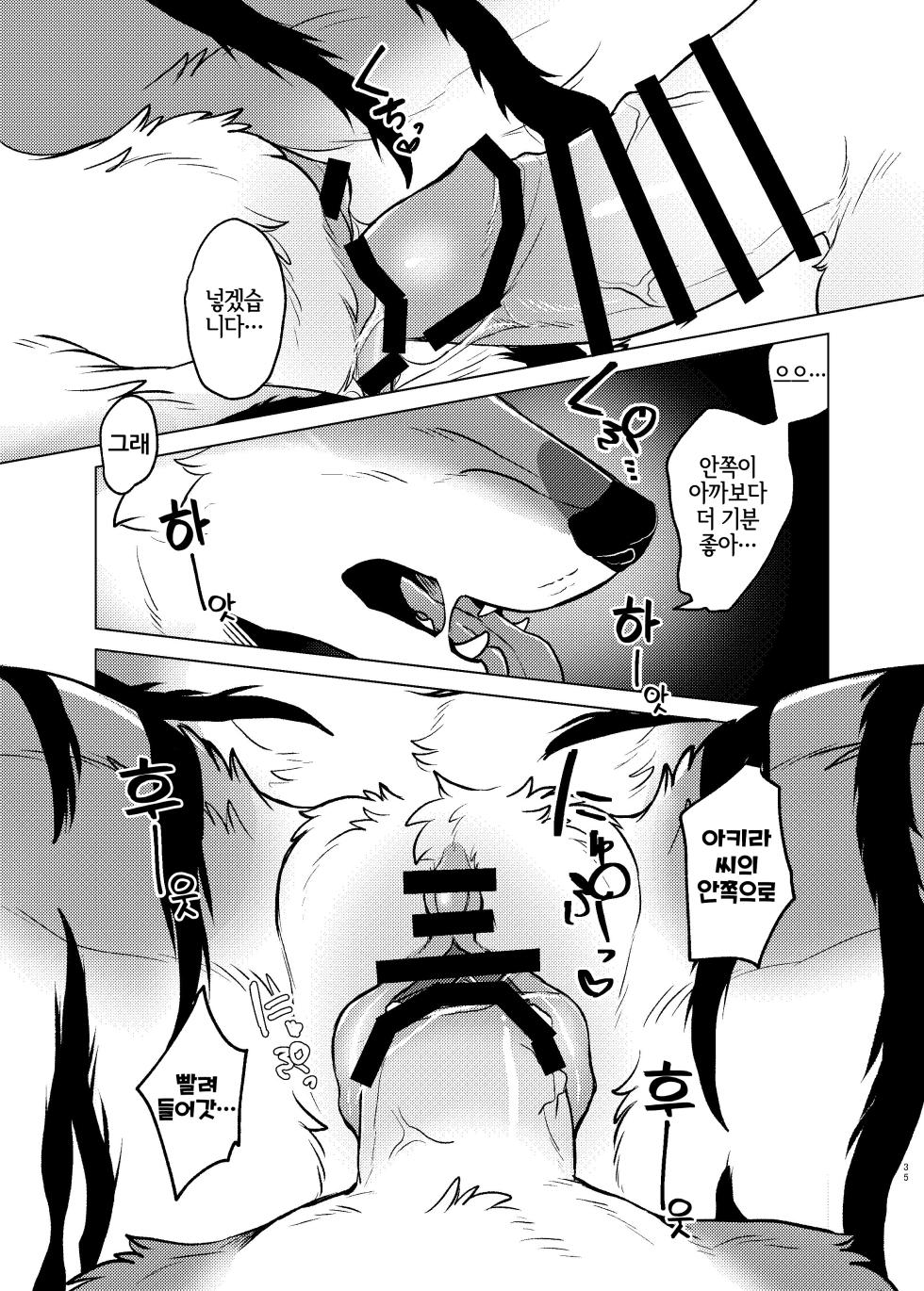 [Neko no Shuukaijo (Nekomata)] Rinjin ga Mesu deshita [Korean] [Digital] [LWND] - Page 34