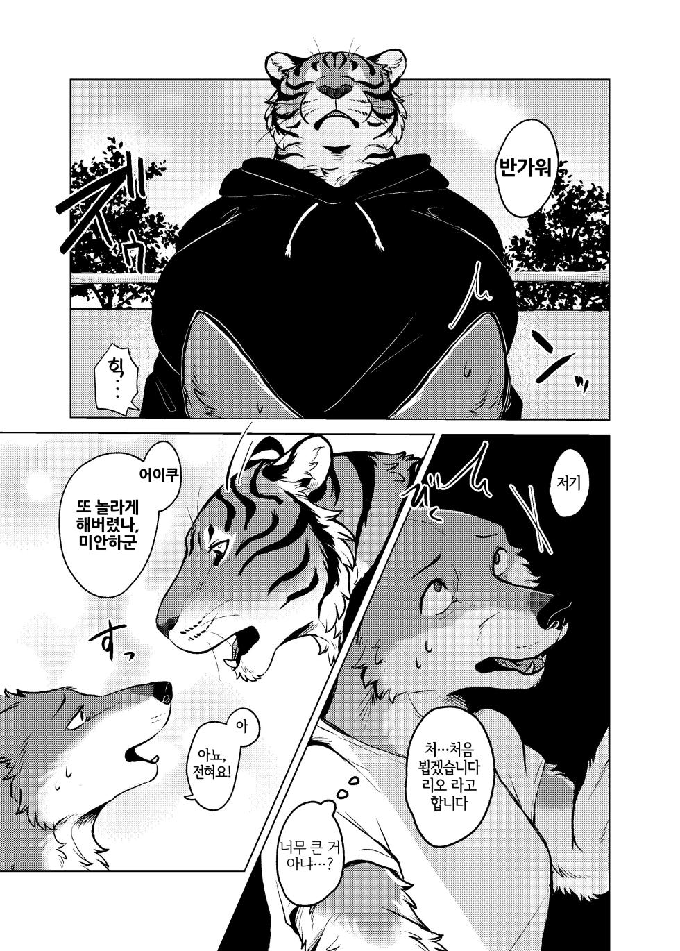 [Neko no Shuukaijo (Nekomata)] Rinjin ga Mesu deshita [Korean] [Digital] [LWND] - Page 5