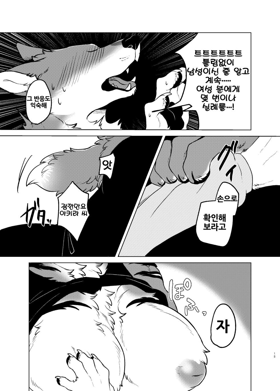 [Neko no Shuukaijo (Nekomata)] Rinjin ga Mesu deshita [Korean] [Digital] [LWND] - Page 14