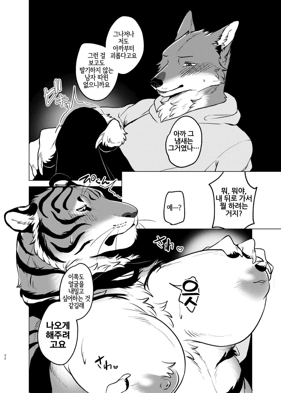 [Neko no Shuukaijo (Nekomata)] Rinjin ga Mesu deshita [Korean] [Digital] [LWND] - Page 21