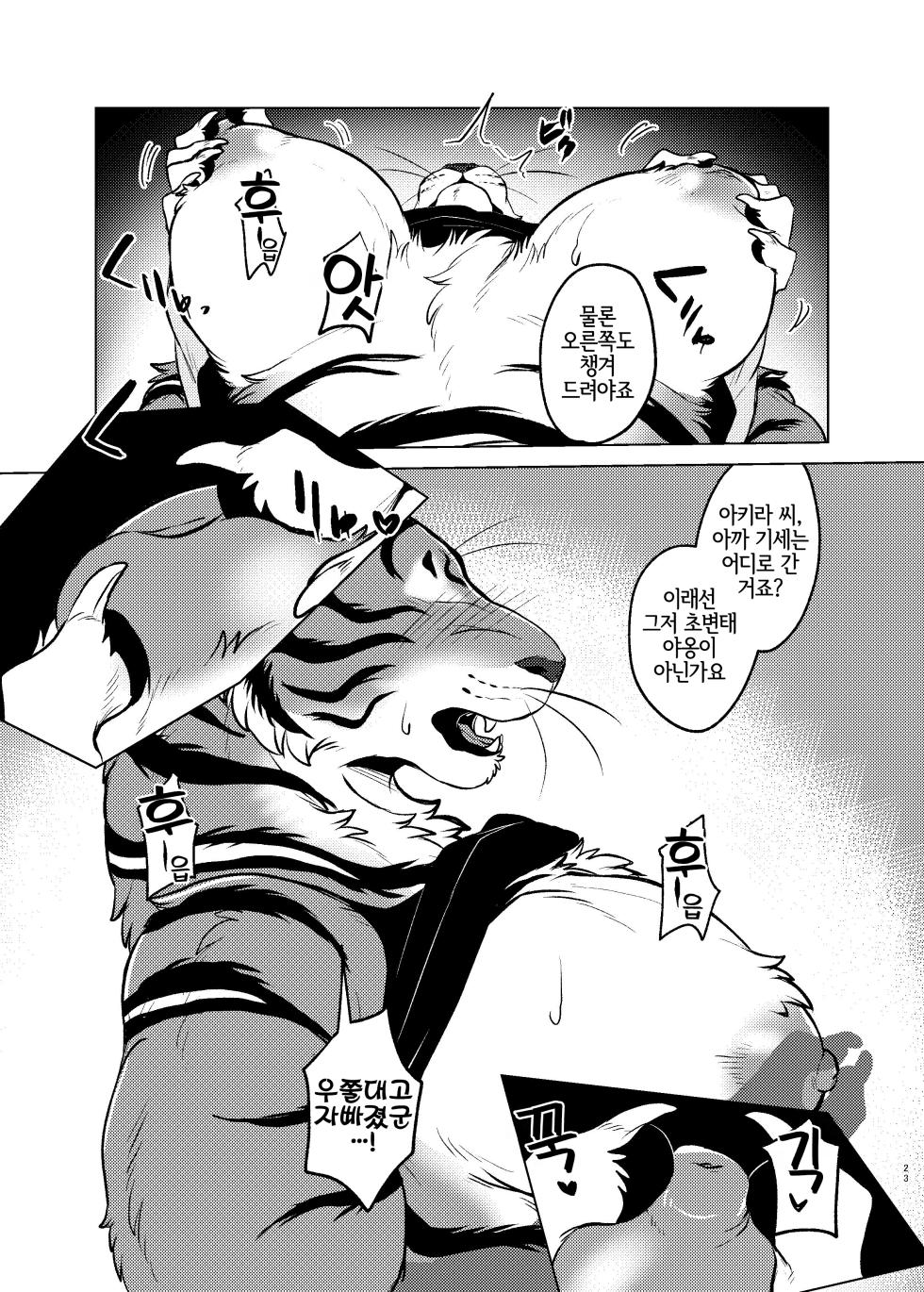 [Neko no Shuukaijo (Nekomata)] Rinjin ga Mesu deshita [Korean] [Digital] [LWND] - Page 22