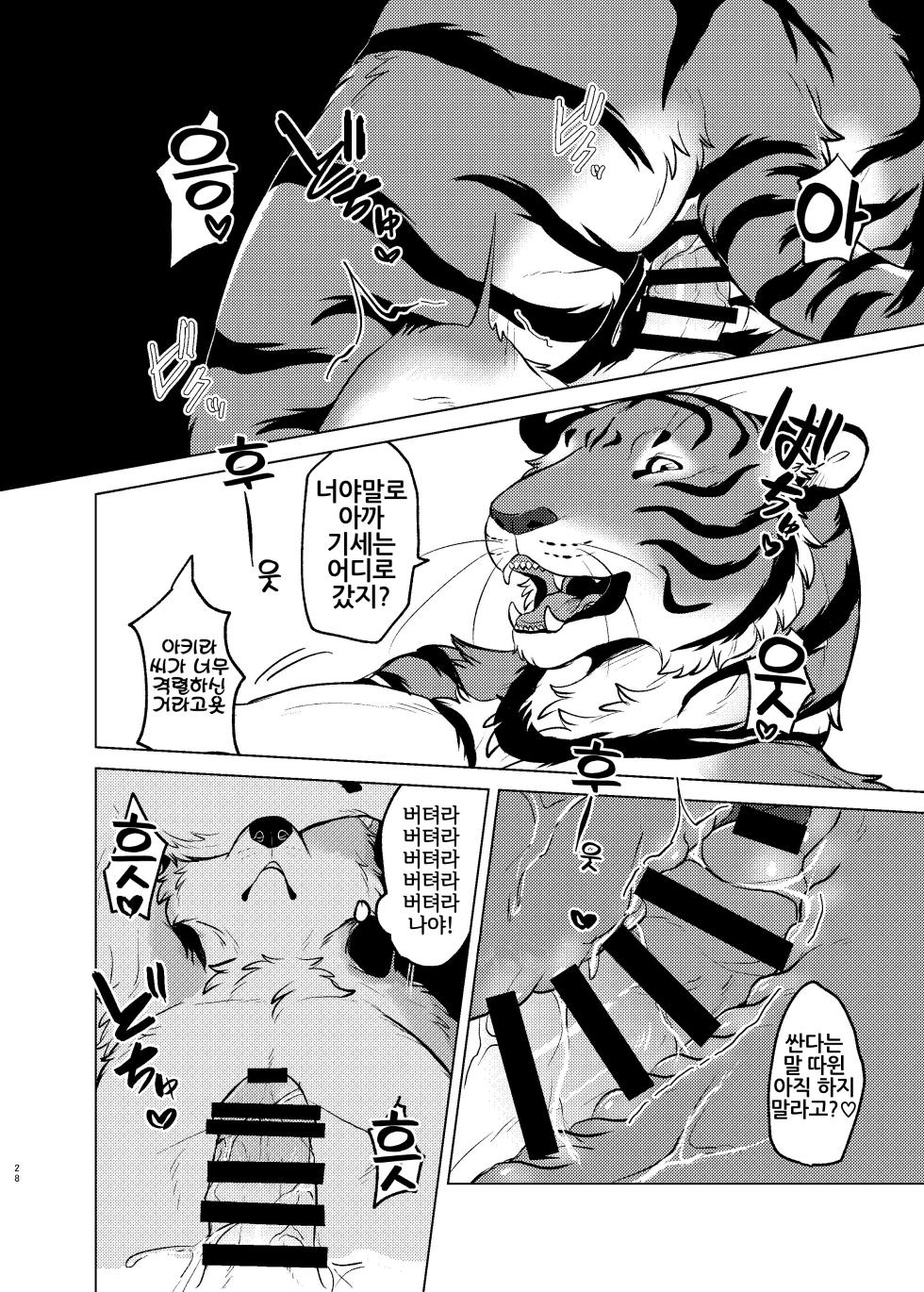 [Neko no Shuukaijo (Nekomata)] Rinjin ga Mesu deshita [Korean] [Digital] [LWND] - Page 27