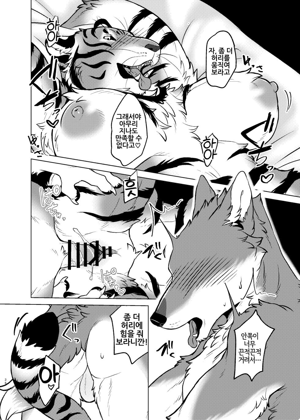 [Neko no Shuukaijo (Nekomata)] Rinjin ga Mesu deshita [Korean] [Digital] [LWND] - Page 35