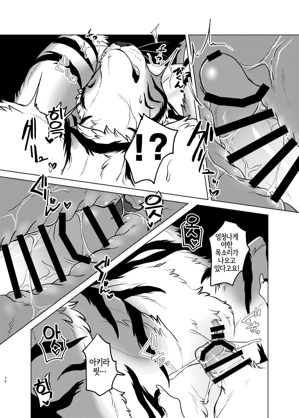 [Neko no Shuukaijo (Nekomata)] Rinjin ga Mesu deshita [Korean] [Digital] [LWND] - Page 37