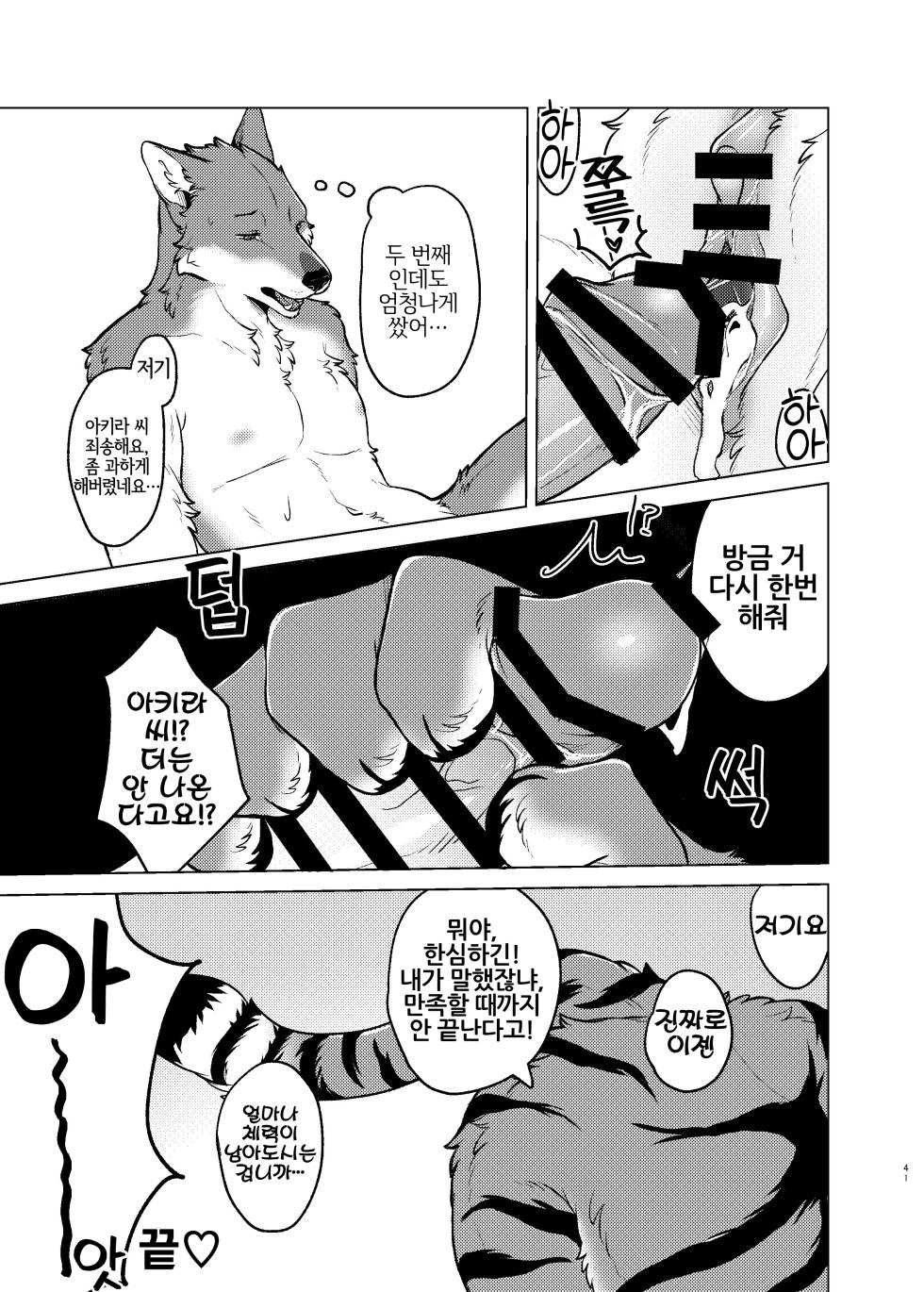 [Neko no Shuukaijo (Nekomata)] Rinjin ga Mesu deshita [Korean] [Digital] [LWND] - Page 40