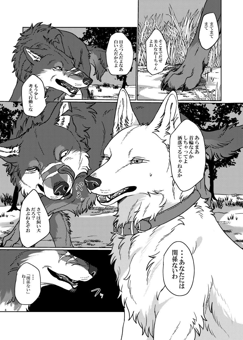 [Neko no Shuukaijo (Nekomata)] ETERNAL FIRST [Digital] - Page 3