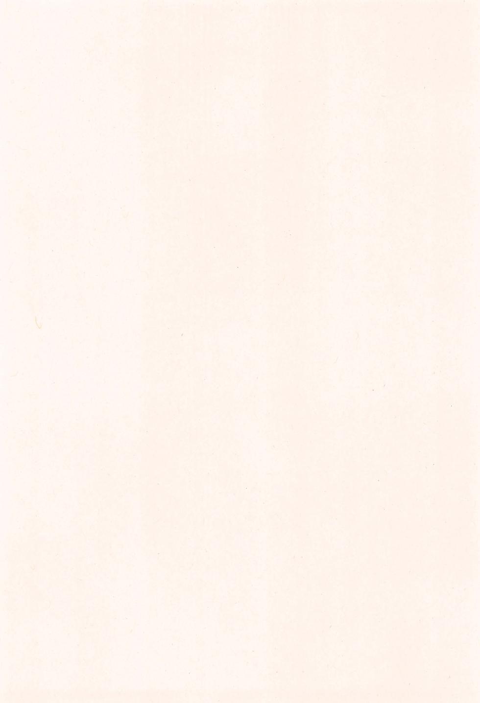 [Toriatsukai Chuuika (Chirashi)] NUPUNUPUNUP!! (Summon Night 3) - Page 4