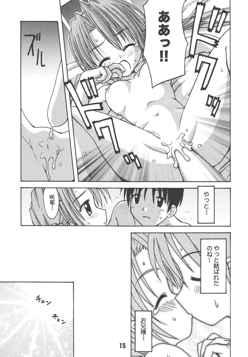 [Shinohara Heavy Industry (Various)] sis-con 2 (Sister Princess) [Digital] - Page 14