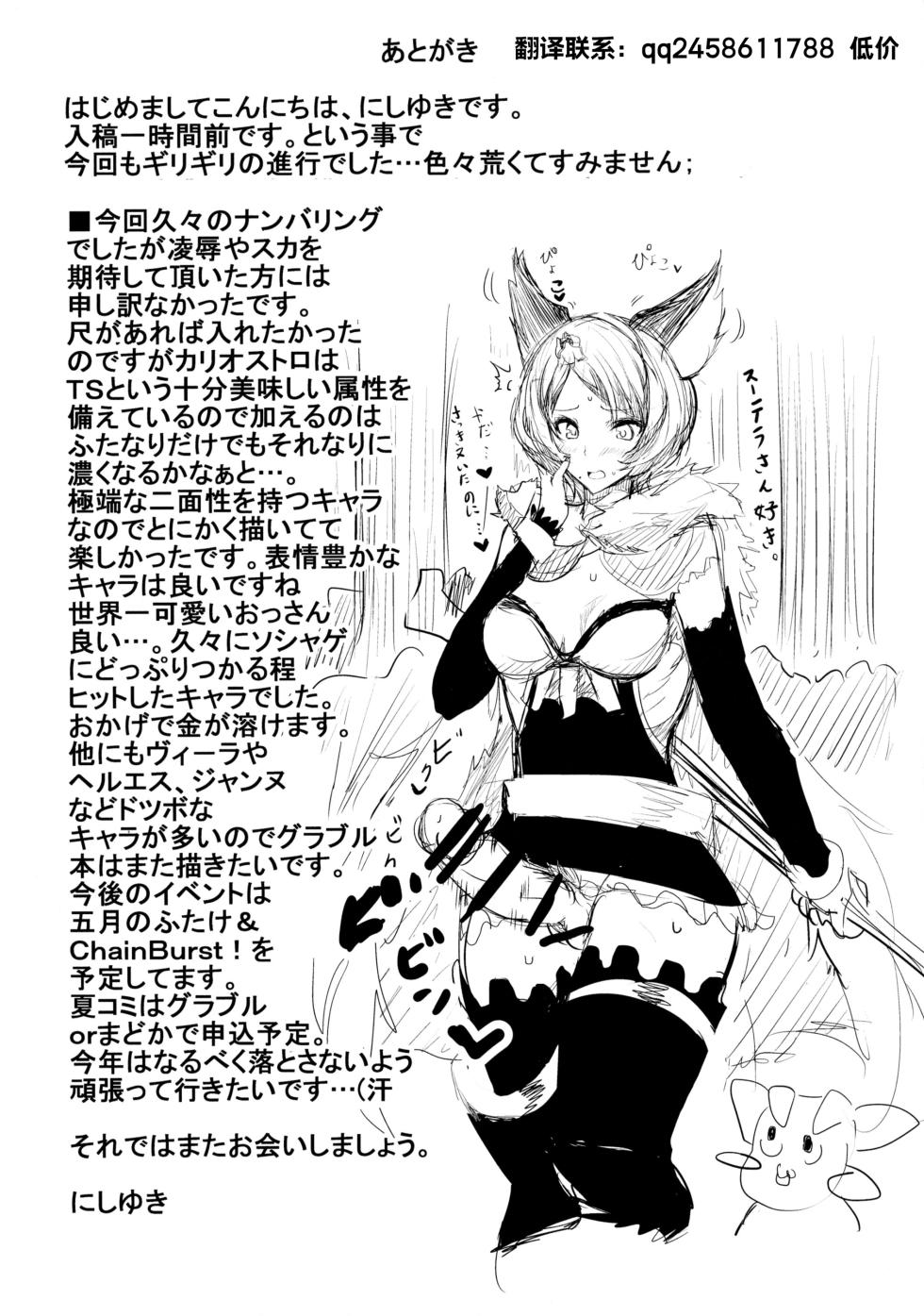 (CT27) [HTSK (NLSHLYUKL)] HTSK4.5 (Granblue Fantasy) - Page 13